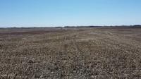 441st Avenue Webster, SD 57274