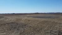 441st Avenue Webster, SD 57274