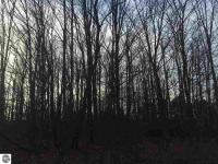000 Plum Valley Road, Alden, MI 49612