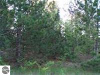 000 Farm Lane, Sw, South Boardman, MI 49680
