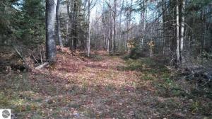 North Trail, Kalkaska, MI 49646