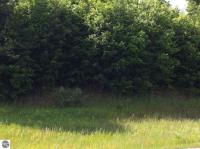 7834 Floreys Ranch Road, Buckley, MI 49620