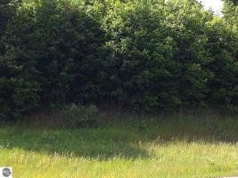 7834 Floreys Ranch Road, Buckley, MI 49620