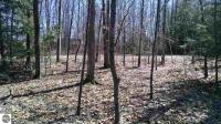 000 Partridge Trail, Elk Rapids, MI 49629