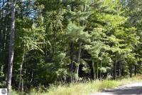 000 Hannah Road, Kingsley, MI 49649
