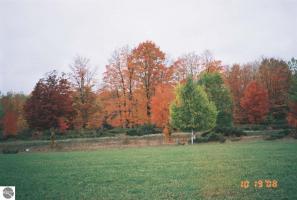 UNIT 23 Beechnut Lane, Kewadin, MI 49648