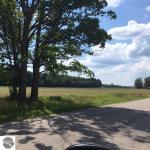 11732 N 13 Road, Buckley, MI 49620