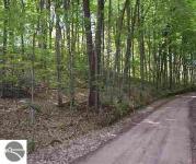 0000 Woodland Court, Bellaire, MI 49615