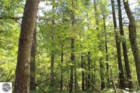 00 Black Lake Road, Kalkaska, MI 49646