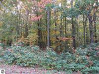 5745 Forestview Circle, Gaylord, MI 49735