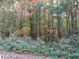 5745 Forestview Circle, Gaylord, MI 49735
