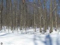 NE West Circle Drive, Kalkaska, MI 49646