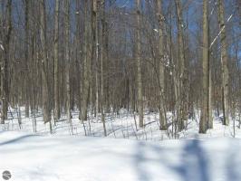 NE West Circle Drive, Kalkaska, MI 49646