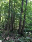 000 Sunset Trail, Kalkaska, MI 49646