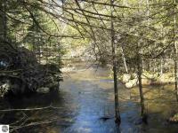5112 NW Snow Shoe Lane, Kalkaska, MI 49646