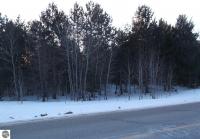 000 Co Road 571, Kalkaska, MI 49646