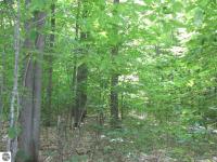 00000 Henschell Road, South Boardman, MI 49680