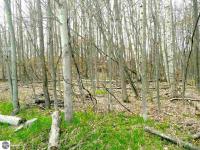 NW Torch Lake Drive, Kewadin, MI 49648