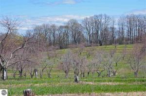 Lot 5 E John Michael Drive, Suttons Bay, MI 49682