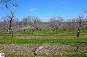 Lot 4 E John Michael Drive, Suttons Bay, MI 49682