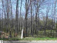 000 Coster Road, Fife Lake, MI 49633