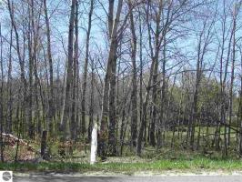000 Coster Road, Fife Lake, MI 49633