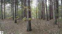 Kruger Road Lot H, Kewadin, MI 49648