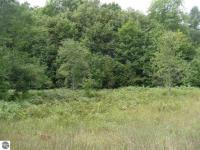 000 W Elder Road, Mancelona, MI 49659