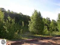 3153 SW Sage Drive, South Boardman, MI 49680