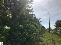 00 County Line Road, Mancelona, MI 49659