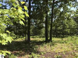 00 Twin Birch Road, Kalkaska, MI 49646