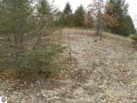000 Coster Road, Fife Lake, MI 49633