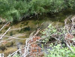 3.0 Twins Trail, South Boardman, MI 49680