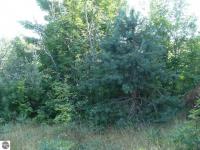 000 Scholl Road, Mancelona, MI 49659