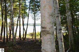 Parcel 3 N Putnam Road, Northport, MI 49670