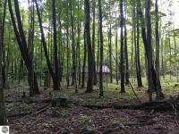 6621 SE Tyler Road, Kalkaska, MI 49646