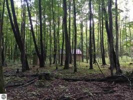 6621 SE Tyler Road, Kalkaska, MI 49646