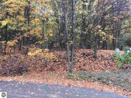Lot 166 Jonathon Drive, Rapid City, MI 49676