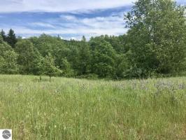 S Kitlinger Road, Empire, MI 49630