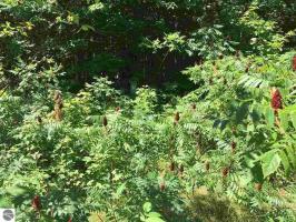 5185 Jacks Trail, Traverse City, MI 49684