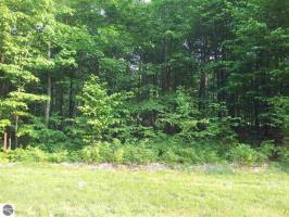 Unit 18 Beechnut Lane, Kewadin, MI 49648