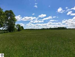 Townline Road, Kingsley, MI 49649