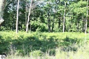 00 Many Oaks Drive, Interlochen, MI 49643