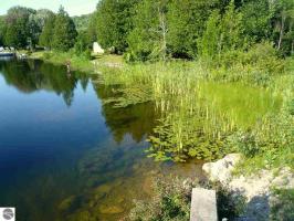 0000 Rains Road, Ellsworth, MI 49729