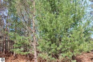 SW Farm Lane, South Boardman, MI 49680