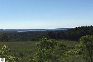 Lot 3, 4 Scenic Circle, Honor, MI 49640