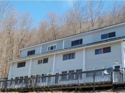 832 Grand View Lodge Road Unit D Plymouth, VT 05056