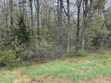Map 202 Lot 1 Nh Route 25 Ossipee, NH 03814