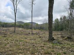 00 Dugway Road Lot R09-001-00A Brownfield, ME 04010