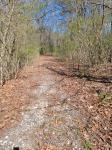 922 Skipjack Road Kinsale, VA 22488